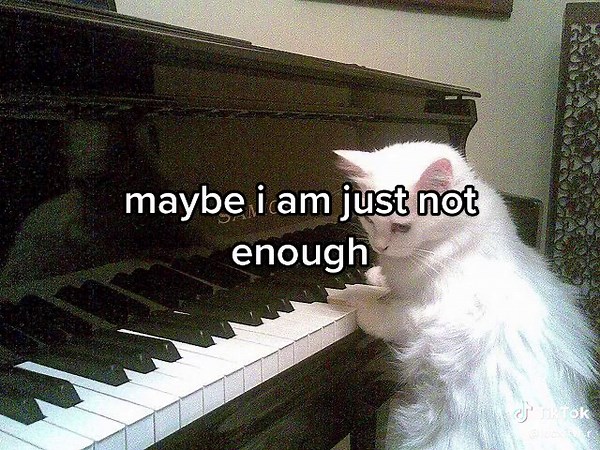 Young White Cat Interacting with Piano Keys | TikTok