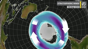 1.6K views · 50 reactions | Every winter, we monitor the behaviour of...