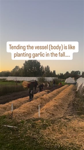 Farming has taught me so much about what it means to tend. Growing food requires constant care to soil, seeds, sprouts and plants and it’s ever going. In each season there is different tending needs, paces of work and care required. This Winter I invite you to lean in to tending your own bodies needs that goes beyond the basics and into the richness and depth of your own inner soil so that when it’s time to grow and sprout and give you can do so with full force ! DM vessel for more information a