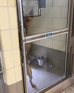 1.9K views · 42 reactions | Status: RED‼️URGENT‼️ Shelter notes:...