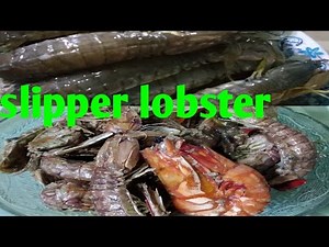 how to cook slipper lobster