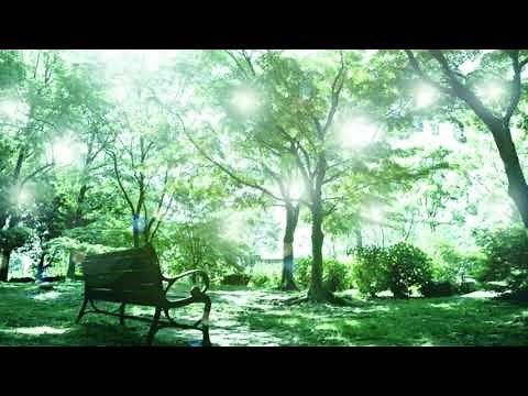 テレマン: ヴィオラ協奏曲 ト長調 TWV 51:G9：第1楽章［ナクソス・クラシック・キュレーション #癒し］