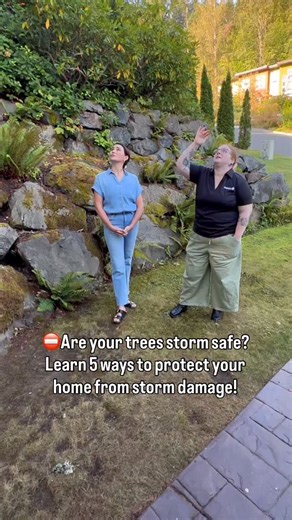 2.3K views · 52 reactions | Most people don’t realize it — but trees...