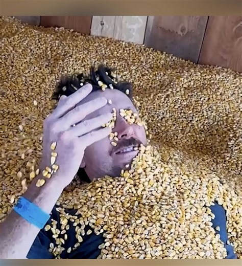 Why do grains defy gravity?