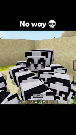 Minecraft Baby Panda Moment...