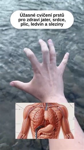 Úžasné cvičení prstů pro zdraví jater, srdce, plic, ledvin a sleziny | Životní příběhy