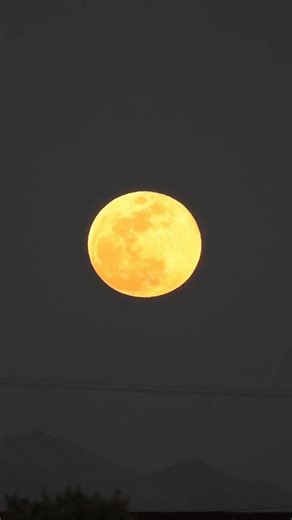 Mandrágora ad astra on Instagram: "🌕 #moon #fullmoon #moonlight #moonphotography"