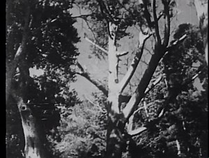 Famous clip of O Sensei climbing to the the top of Mount Atago with his students. Morihiro Saito Sensei is seen pushing O Sensei up the steps. Much to learn from the weapons taking demonstration. Also in this video is a young looking Hiroshi Isoyama Sensei. | Aikido - Daniel Brasse