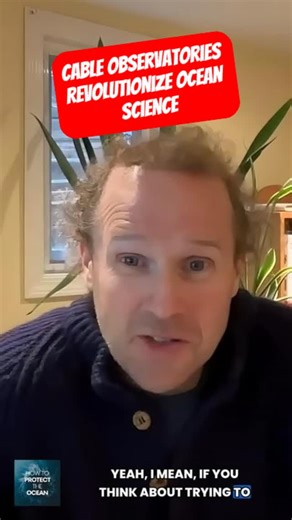 How To Protect The Ocean on Instagram: "What if you could watch a deep-sea volcano change in real time? That is now possible at hydrothermal vents like Endeavour."