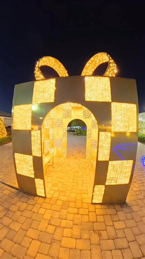 🎅🏻 Winter Wonderland at World Equestrian Center 📍 Ocala, FL 🚗 90 mins from Disney 🚙 80 mins from Orlando #christmas #christmaslights #florida #ocala #worldequestriancenter | Katie and Spencer