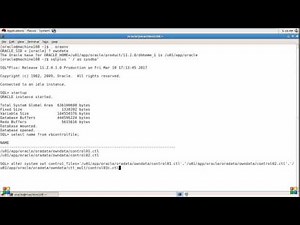 Multiplex a controlfile of an Oracle database