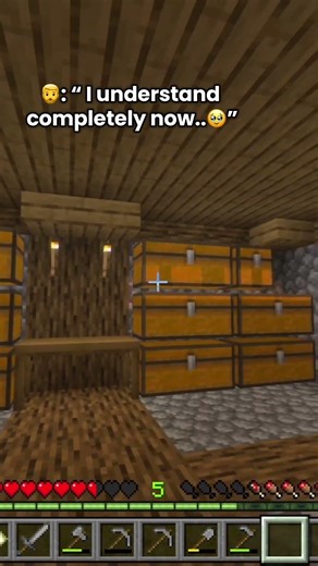 Minecraft Music is so Nostalgic! 🥹