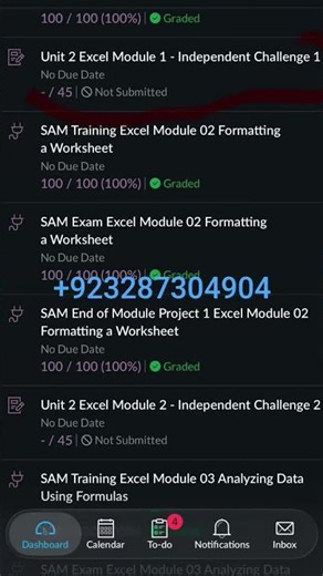 SAM Exam Excel Module 2 Formatting a Worksheet