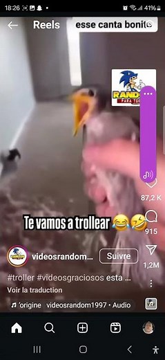 Astuce comment attrapé un oiseau