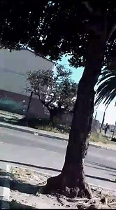 WATCH: Manenberg gang violence/ several murders As received- It seems all hell broke out within the Manenberg residential area as gang violence erupted in the early hours of this morning Saturday 14 October 2023. Manenberg residents was trapped in their homes this morning as gang violence erupted. The Americans Clever kids and Hard Livings gang opened indiscrimnately gunfire on each other starting a gang conflict that left three people dead and three seriously wounded. At 02:00 a female was shot