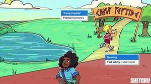 Hormone Synthesis, Secretion, and Regulation - Free Sketchy MCAT Lesson