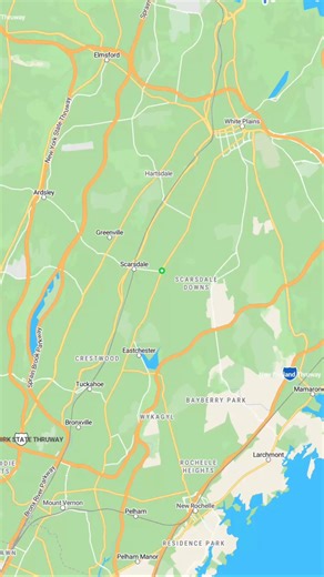 烈 Westchester’s Mosquito Problem Has a Local Solution From Scarsdale...