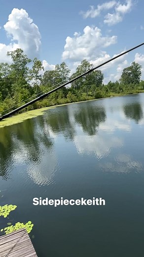 Bass day #spk | Corey Alfred