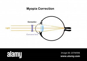 Digital, 3d rendered abstract plexus background. Connection and web concept. 4k video.