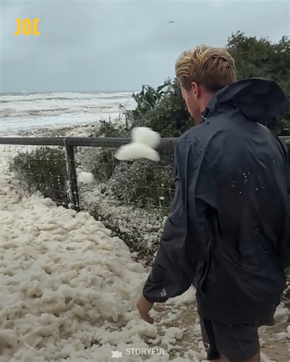 131K views · 113 reactions | He disappeared straight away  | JOE.co.uk | Facebook