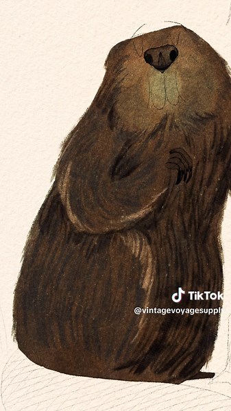 Step-by-Step Watercolor Beaver Drawing Tutorial