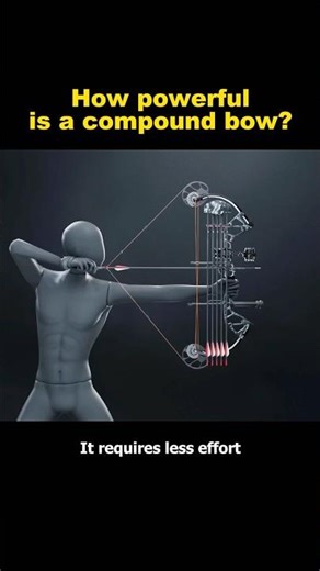 How powerful is a compound bow?#knowledge #shorts