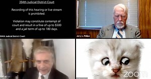 Texas Lawyer Accidentally Appears in Zoom Court as a Kitten
