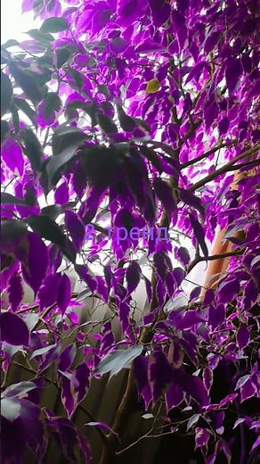 танцуй если знаешь этот тренд 2025 года 😉