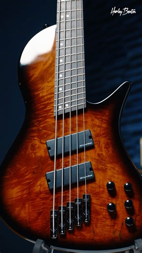 Harley Benton | 🙌 The Harley Benton MSB-5 Series is a 5-string multiscale electric bass that combines striking aesthetics with exceptional performance.... | Instagram