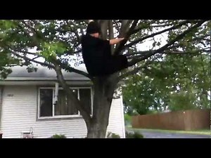 Ninjas are great tree climbers