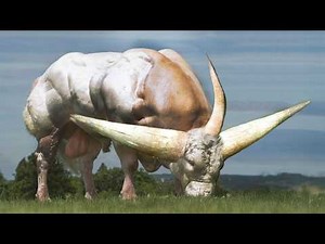 Look What The Most Dangerous Bull In The World Is Capable Of!