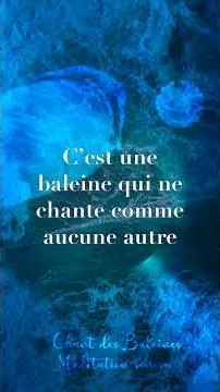 🐋 Cette baleine chante seule depuis des décennies...