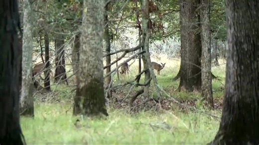 Local meat processor expands; talks importance of state's harvest sharing program
