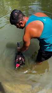 493K views · 6.4K reactions | Java Aseel on Reels | Facebook