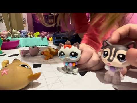 LPS: popular 2. rész egy mozgalmas nap fele.