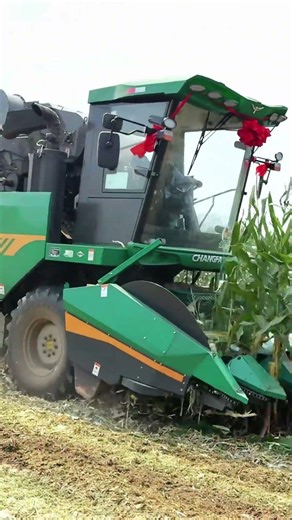 Self-propelled Wheeled Corn Ear Harvester, perform corn harvesting, conveying, peeling, packing