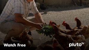 Watch Chicken Planet for Free Online | Pluto TV