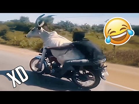 IF YOU LAUGH YOU LOSE LEVEL 🤣🔥 [999.999% IMPOSSIBLE] 😭🥶 Very Funny Videos 2025 😂🤯