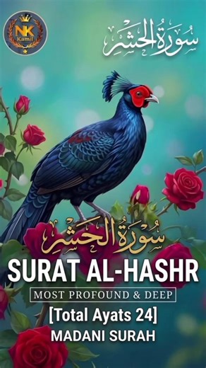 Last 3 Ayat of Surah Hashr | Powerful & Emotional Tilawat | سورت الحشر کی آخری آیات #egzonibrahimi