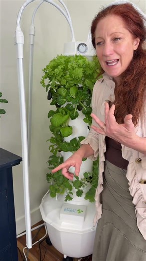Growing in a Tower Garden hydroponic system aerobics, hydroponics, indoor gardening food, security