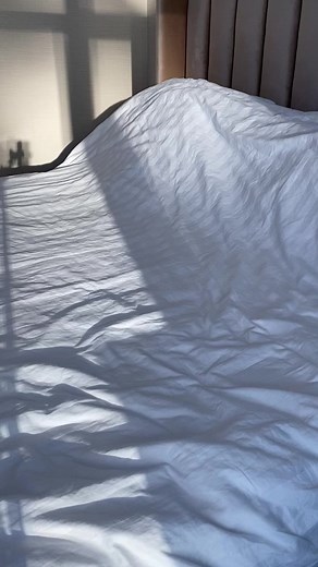 14K views · 196 reactions | Carry convenience and style wherever you go! The Secosana Lileth Plain Backpack is designed to accommodate your laptop or tablet effortlessly. Get yours now and upgrade your daily essentials. Shop via the link in our bio!  | Secosana | Facebook