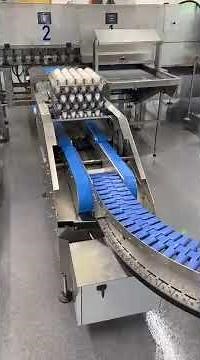 Tray stacker behind a Völker egg grading machine