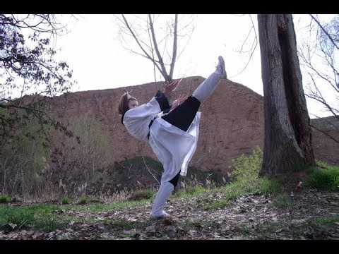 Tradicional Kung Fu / 螳螂拳 / Tang Lang Chuan /7 Star Mantis.