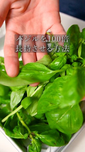 『バジルの保存方法』 冷蔵保存：2週間〜１ヶ月 1.バジルをためた水で優しく洗う。 2.ペーパーで水気をしっかり切る。 3.バットにペーパーを敷いて、バジルをのせる。上から濡らしてしぼったペーパーをかぶせる。ラップをする。 4.冷蔵庫の野菜室で保存する。 【ポイント】 ・洗わずに保存する方法もありますが、虫がついていると衛生上良くないので、一度洗います。 ・水滴が残ってると、黒くなりやすいです。 ・ペーパーは１〜2日で交換します。 #asmr #料理男子 #バジル #バジルソース #バジルペースト #ジェノベーゼ