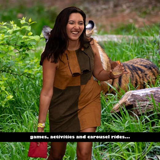 Save $10 when you purchase Sippin’ Safari early-bird tickets on sale now for a limited-time! Tickets include tastings from leading winemaking regions, evening animal viewing, live music and more! This year’s headliner is We Are The Champions, performing music you know and love from Queen! We’re excited to share a new ability to pre-purchase Char-zoo-terie boxes this year too. Each box is $19.99 and includes: Pimento cheese spread Olive assortment Cheese cubes Pepperoni Turkey and provolone roll-