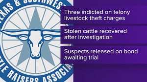 3 arrested in Houston County cattle rustling case