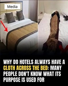 ⬇️Full story in 1st comment👇 | Comedy Story