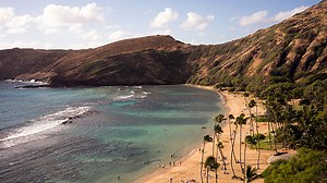 Hawaii's Big Island and Maui | Road Scholar