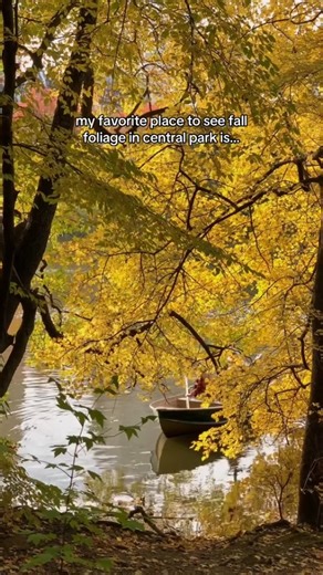 One of the most photographed bridges in the entire world 🍂 🍁 Have you ever been to Bow Bridge in Central Park? 🎥: @melissamale #NYbucketlist #nyc | New York Bucket List
