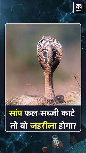 #shorts | What Happens If a Snake Bites Fruits or Vegetables